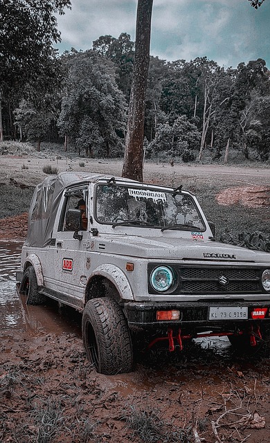 不仅削弱球 不仅削弱球