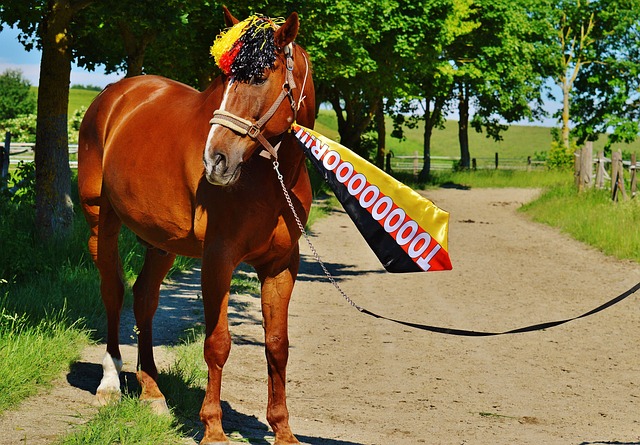 在缺乏了一 在缺乏了一