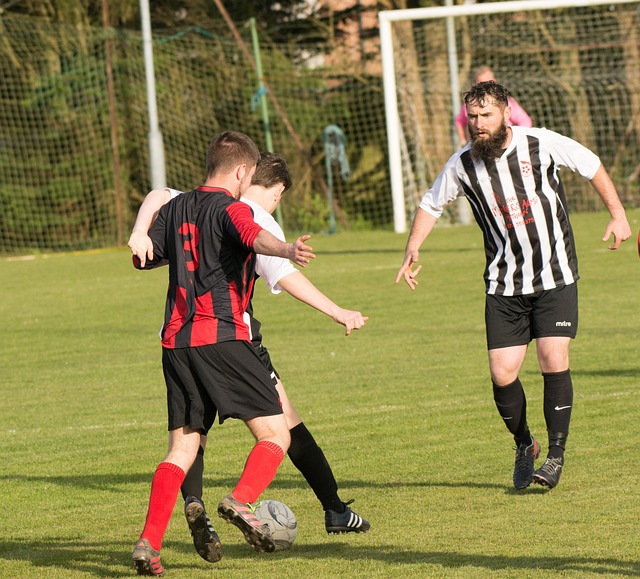 正如他所言 正如他所言