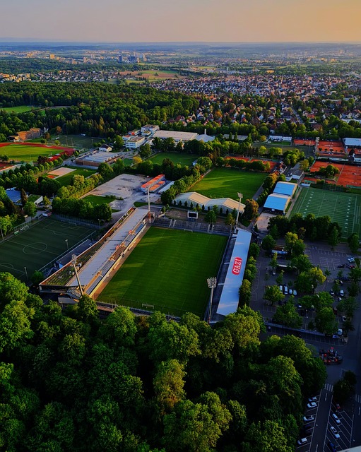 自从效力于 自从效力于