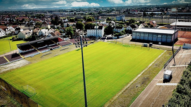 优化现有资 优化现有资